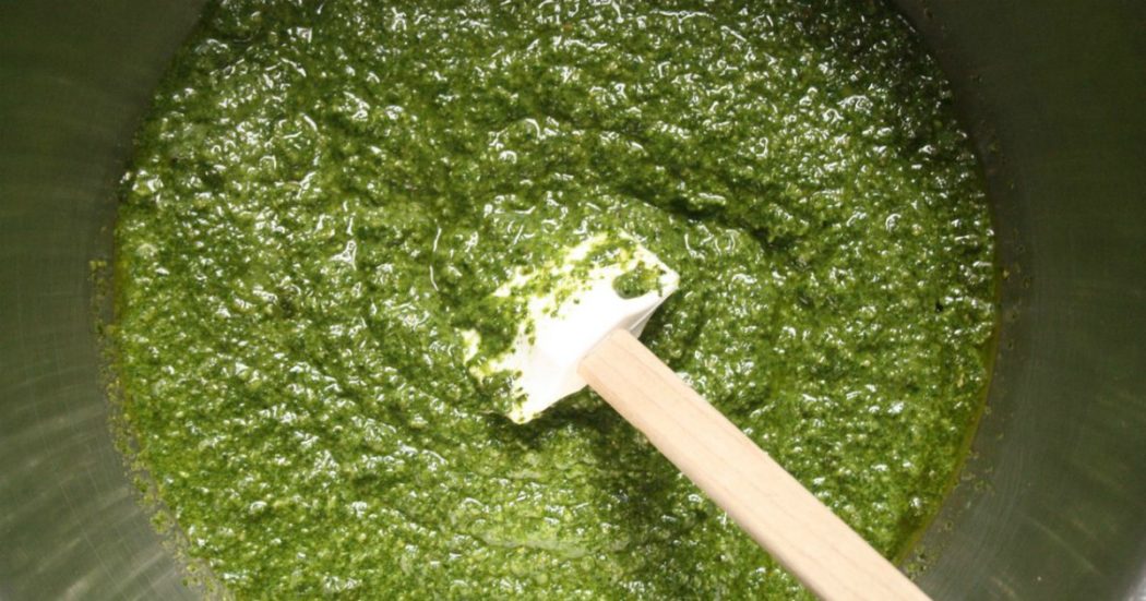 pesto-con-basilico-bio-ritirato-dal-supermercato:-“sospetta-presenza-di-salmonella”.-qual-e-il-lotto-a-cui-fare-attenzione-–-il-fatto-quotidiano